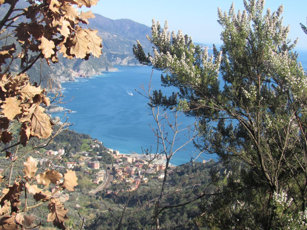 Green Quiet Affittacamere Pignone Εξωτερικό φωτογραφία